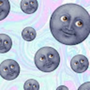 Meet your Posher, Bernard